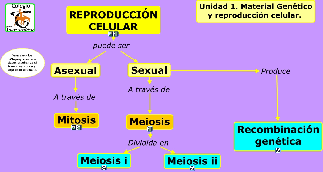 11 ReproducciÓn Celular