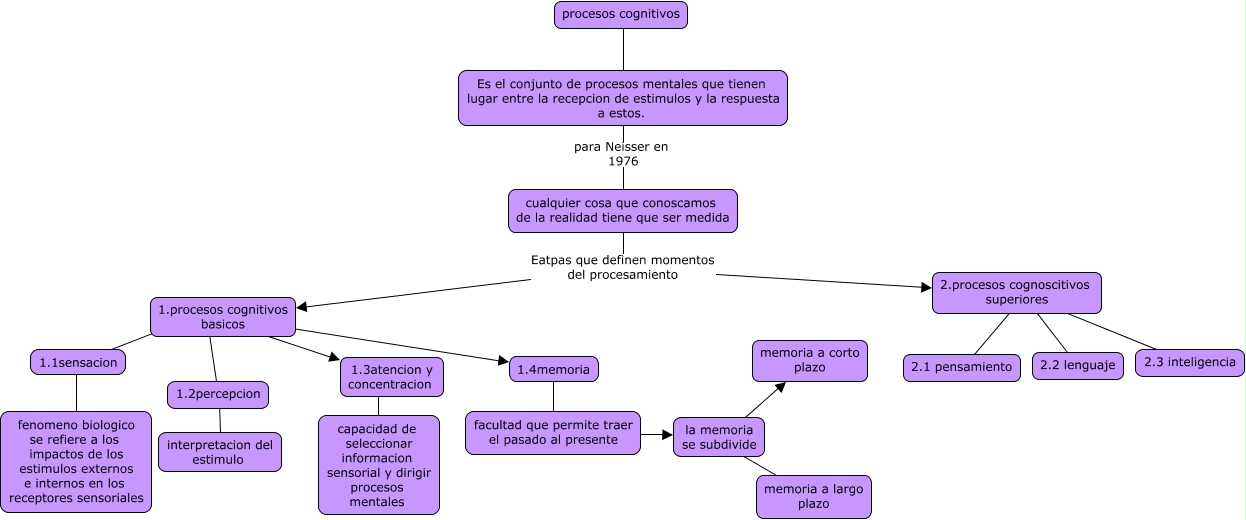 Mapa Conceptual Procesos Cognitivos 3568