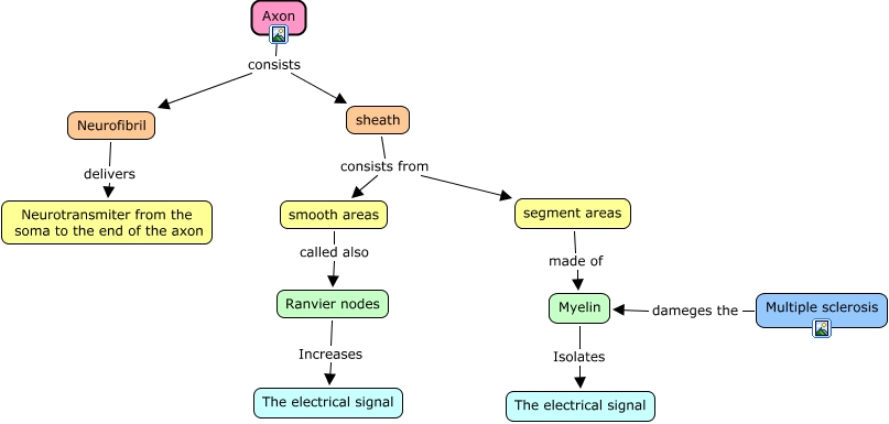 Axon