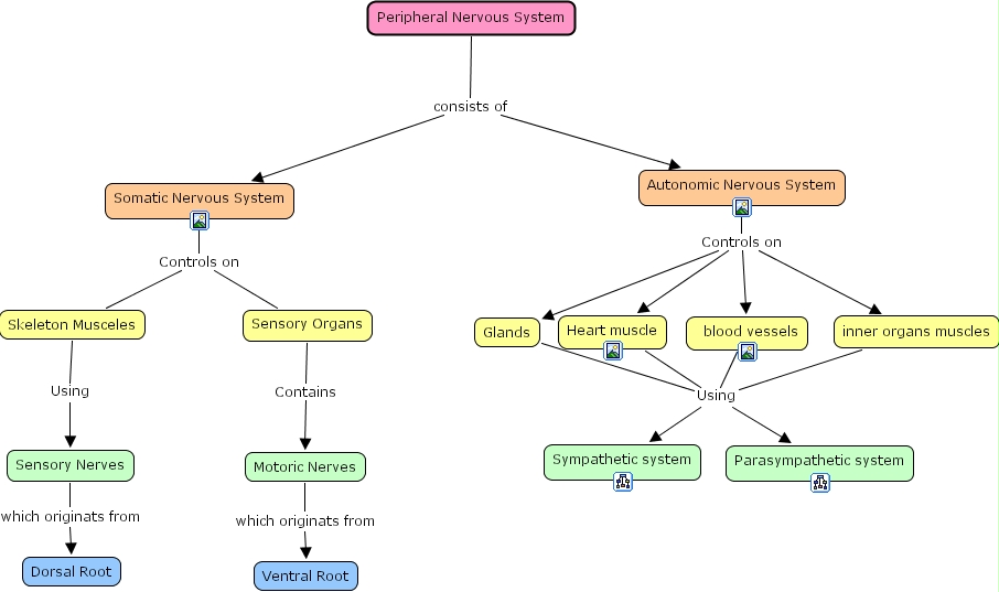 IHMC CmapTools - Concept Map :: peripheral