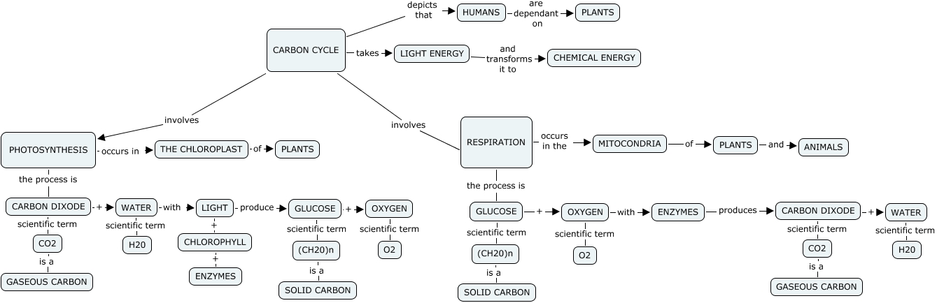 Theresa S Carbon Cycle What Does The Carbon Cycle Consist Of