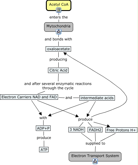 atp 2