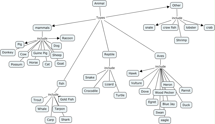 Animals - Common Animal Names