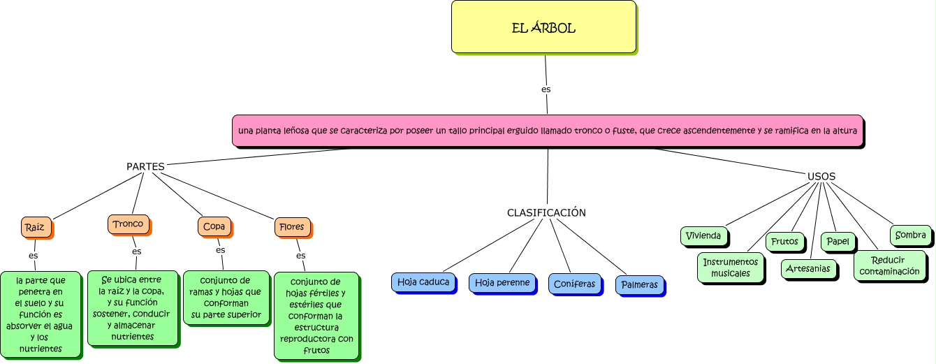 PARTES de un ÁRBOL y sus funciones - Resumen con esquema