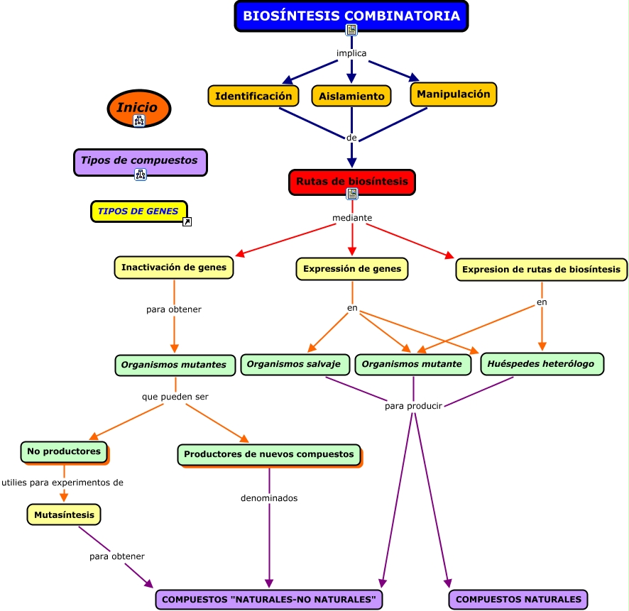 Mapa de biosintesis combinatoria