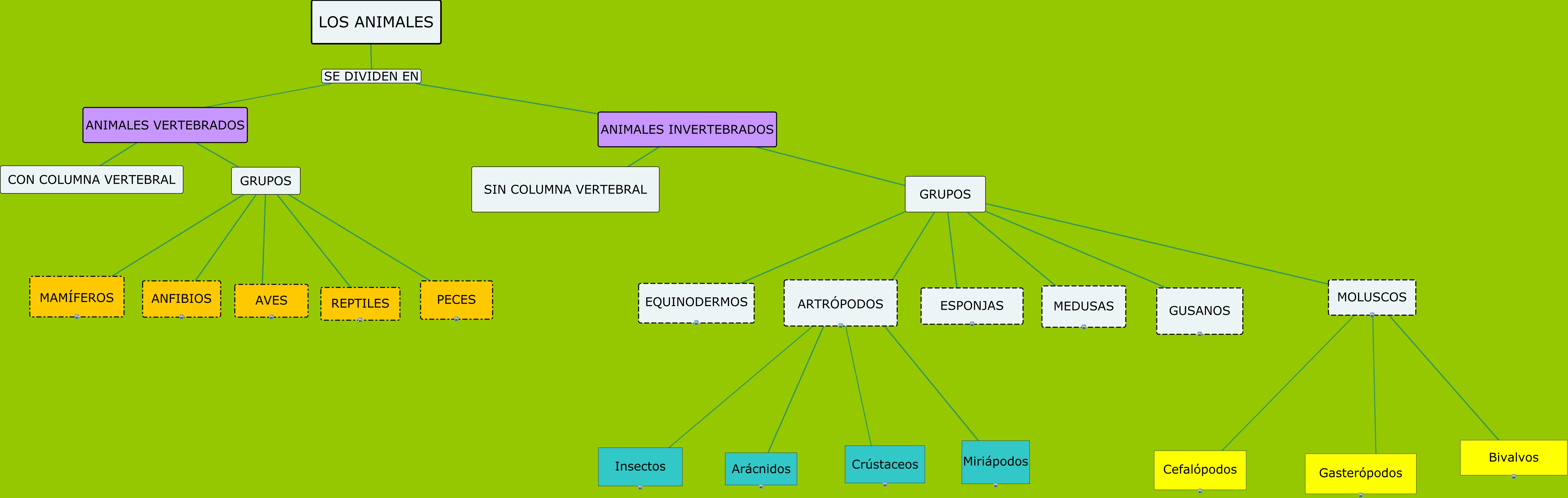 mapa conceptual animales