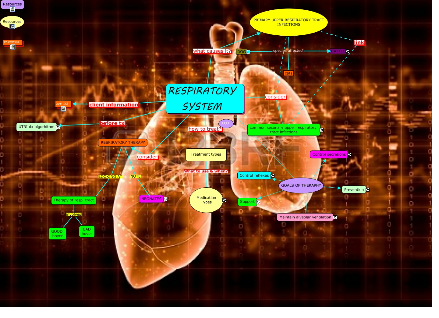 Group 1 Respiratory