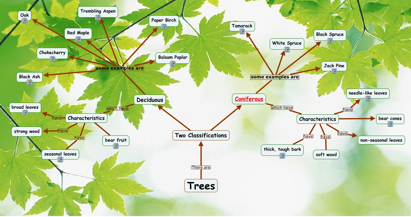 Trees