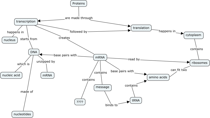 Protein Synthesis Concept Map