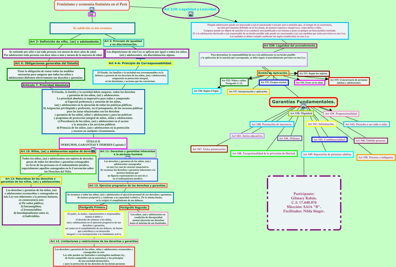 Mapa conceptual Lopnna