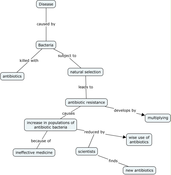 Bacteria Evolution