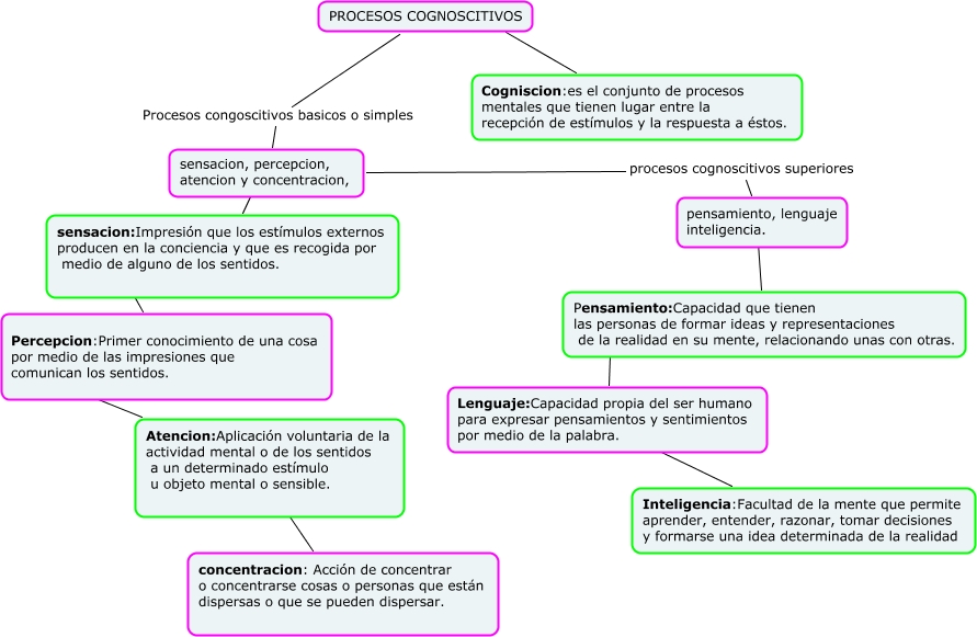 mapas de pensamiento de los sentidos