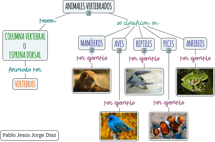 Animales Vertebrados