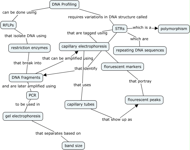 DNA Profiling