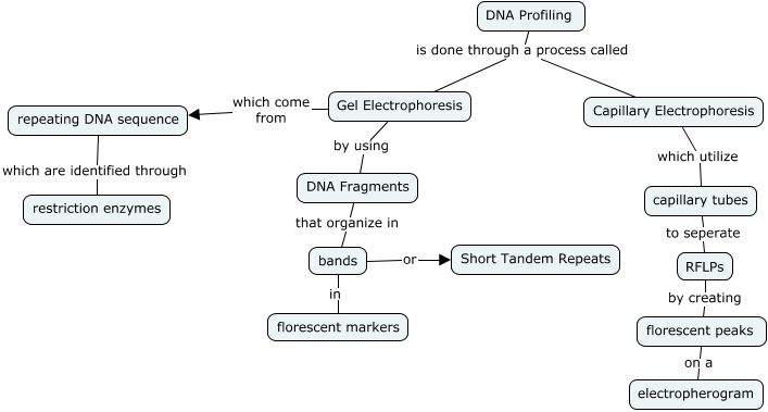 DNA Fingerprinting