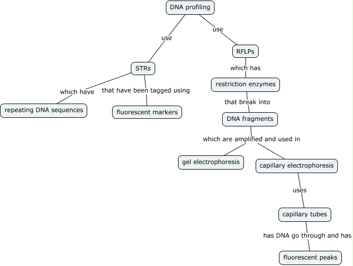 DNA profiling