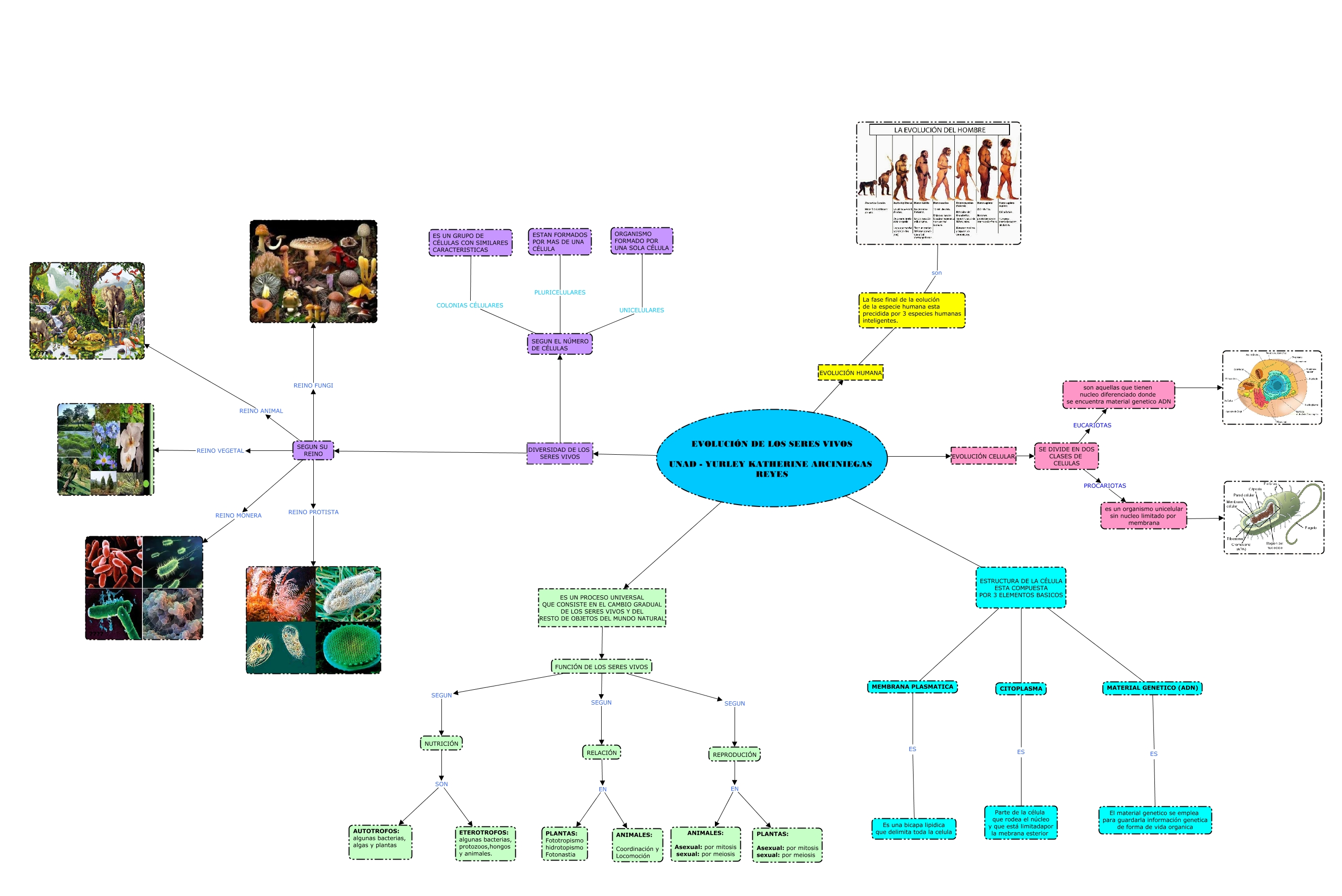 EVOLUCION DE LOS SERES VIVOS.cmap