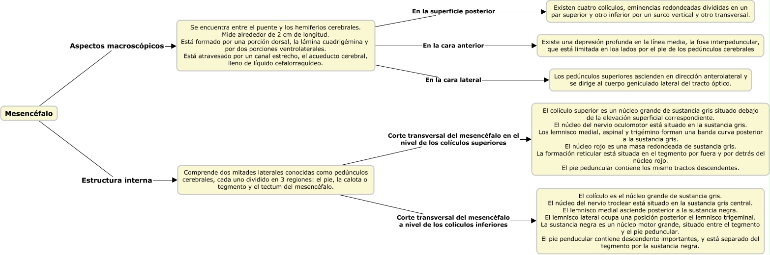 lemnisco del trigémino