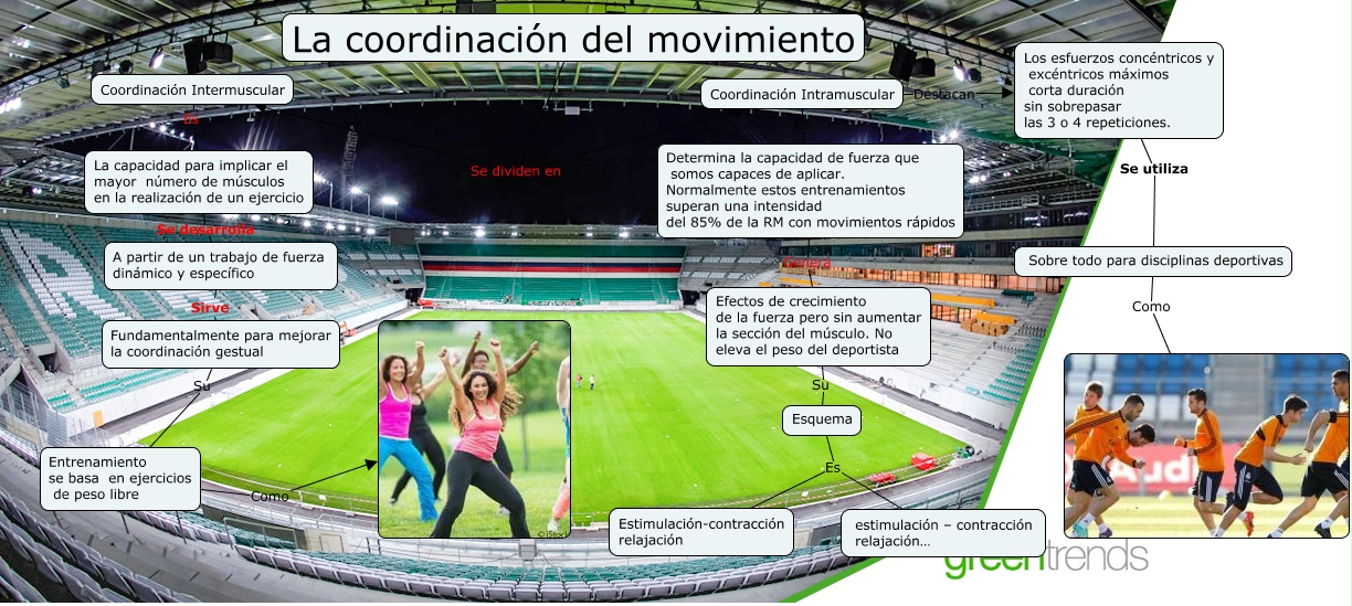 COORDINACIÓN DEL MOVIMIENTO