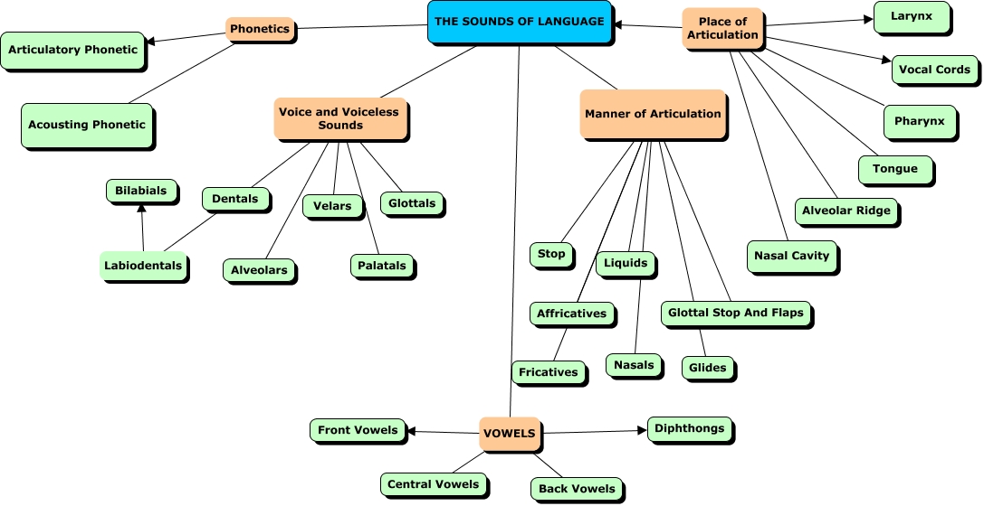 Chapter 3 The Sounds of Language