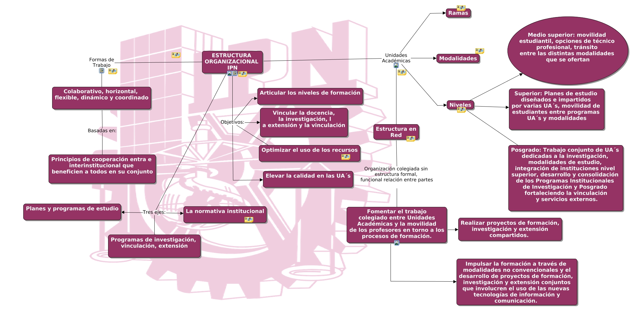 ESTRUCTURAORGANIZACIONAL_DBBG