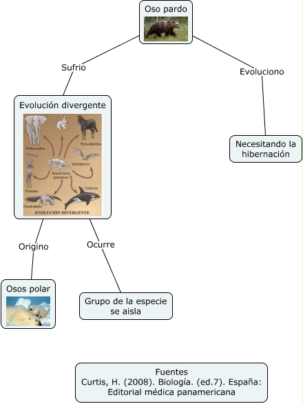 evolución divergente